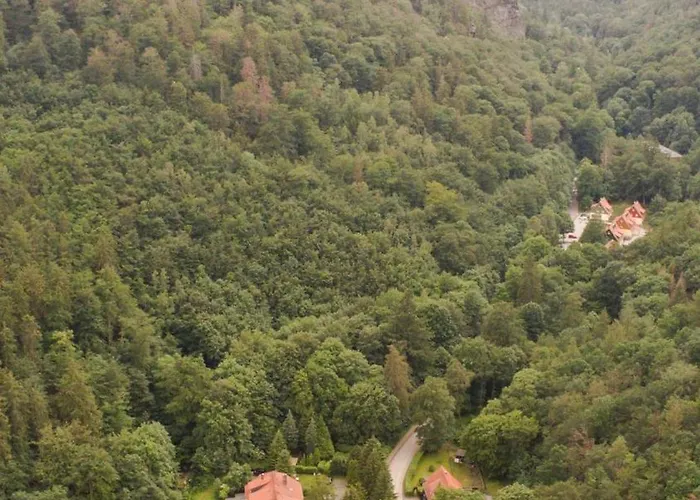 Ferienhaeuser Am Brocken, 60 Qm 2 Schlafzimmer Prázdninový dům *